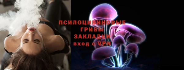 винт Осташков