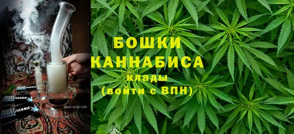 ПСИЛОЦИБИНОВЫЕ ГРИБЫ Балахна